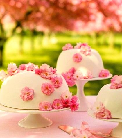 Cherry-Blossom Princess Cake Martha Stewart